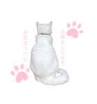 TEOYURUYUNA（個別スタンプ：14）