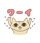 かわいすぎるねこちゃん（個別スタンプ：1）