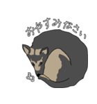 元気なワンコたち（個別スタンプ：3）