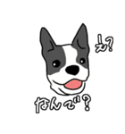 元気なワンコたち（個別スタンプ：7）
