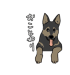 元気なワンコたち（個別スタンプ：16）