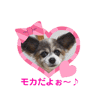 かわいいモカちゃん♪（個別スタンプ：1）