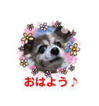 かわいいモカちゃん♪（個別スタンプ：2）