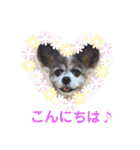 かわいいモカちゃん♪（個別スタンプ：3）