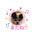 かわいいモカちゃん♪（個別スタンプ：7）