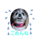 かわいいモカちゃん♪（個別スタンプ：10）