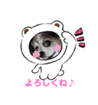 かわいいモカちゃん♪（個別スタンプ：11）