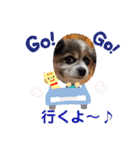 かわいいモカちゃん♪（個別スタンプ：26）