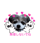 かわいいモカちゃん♪（個別スタンプ：30）