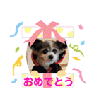 かわいいモカちゃん♪（個別スタンプ：40）