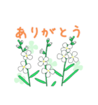 モデル植物シロイヌナズナ（個別スタンプ：2）