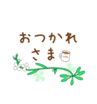 モデル植物シロイヌナズナ（個別スタンプ：7）