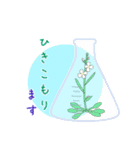 モデル植物シロイヌナズナ（個別スタンプ：13）