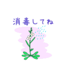 モデル植物シロイヌナズナ（個別スタンプ：14）