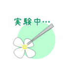 モデル植物シロイヌナズナ（個別スタンプ：15）