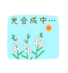 モデル植物シロイヌナズナ（個別スタンプ：16）