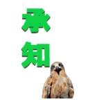 漢字二文字(仕事用)を身近な鳥からーBIG（個別スタンプ：2）