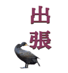 漢字二文字(仕事用)を身近な鳥からーBIG（個別スタンプ：7）