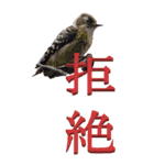 漢字二文字(仕事用)を身近な鳥からーBIG（個別スタンプ：17）