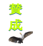 漢字二文字(仕事用)を身近な鳥からーBIG（個別スタンプ：20）