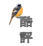 漢字二文字(仕事用)を身近な鳥からーBIG（個別スタンプ：23）