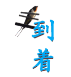 漢字二文字(仕事用)を身近な鳥からーBIG（個別スタンプ：24）