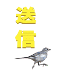 漢字二文字(仕事用)を身近な鳥からーBIG（個別スタンプ：26）