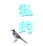 漢字二文字(仕事用)を身近な鳥からーBIG（個別スタンプ：29）