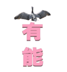 漢字二文字(仕事用)を身近な鳥からーBIG（個別スタンプ：30）