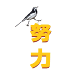 漢字二文字(仕事用)を身近な鳥からーBIG（個別スタンプ：35）