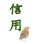 漢字二文字(仕事用)を身近な鳥からーBIG（個別スタンプ：37）