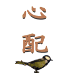 漢字二文字(仕事用)を身近な鳥からーBIG（個別スタンプ：39）