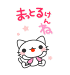 広島弁の白猫 にしき【BIGスタンプ】（個別スタンプ：12）
