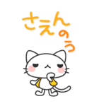 広島弁の白猫 にしき【BIGスタンプ】（個別スタンプ：24）