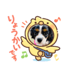 【シュシュ看板犬スタンプ】ふうが（個別スタンプ：2）