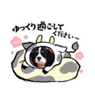 【シュシュ看板犬スタンプ】ふうが（個別スタンプ：7）