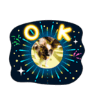 【シュシュ看板犬スタンプ】あんじゅ（個別スタンプ：4）