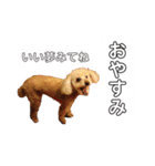 あやた成人式ver（個別スタンプ：10）