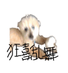 テンティナ（個別スタンプ：1）