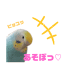 Pi達222（個別スタンプ：5）