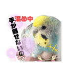 Pi達222（個別スタンプ：6）