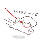 よんほんあしのお友達《ボロニーズ犬》（個別スタンプ：13）