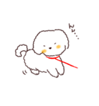 よんほんあしのお友達《ボロニーズ犬》（個別スタンプ：17）