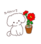 よんほんあしのお友達《ボロニーズ犬》（個別スタンプ：19）