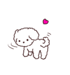 よんほんあしのお友達《ボロニーズ犬》（個別スタンプ：23）