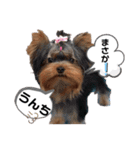 可愛い仲良し4姉妹③（個別スタンプ：2）