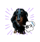 可愛い仲良し4姉妹③（個別スタンプ：10）