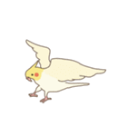 GO GO インコ（個別スタンプ：8）