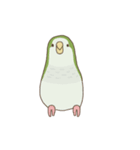 GO GO インコ（個別スタンプ：11）