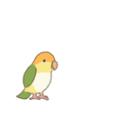 GO GO インコ（個別スタンプ：18）